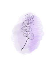 Hand drawn Ginkgo biloba leave. outline ginkgo leaf. Floral exotic leave illustration for your design.