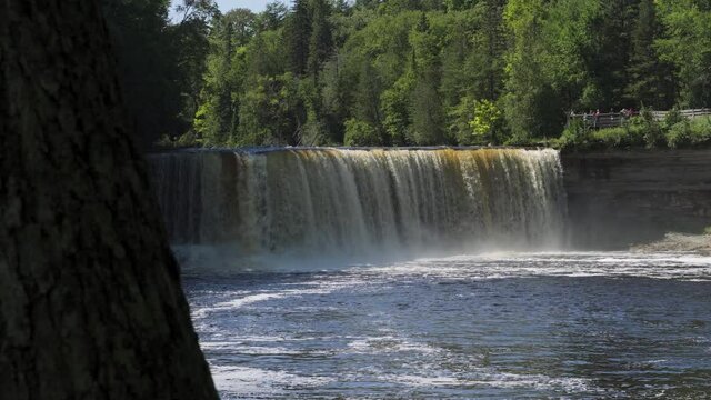 Medium View of Higher Falls of Tahquamenon Falls; rushing water drops into pool below; a tree frames left side of view; low angle.