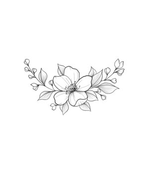 Sakura flowers. Cherry. Hand drawing. Ink, watercolor. a sprig of blooming apricot - a beautiful sketch of a tattoo. Botany tattoo designs