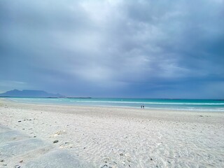sea view rocks ocean seagull mountain beach seashells true crab sky cloudy clear blue sand haze turquoise seaweed white blur stones vacation cape town shore nature blend animals creatures wild life