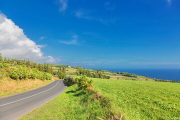 Naklejka premium road through green hills landscape on Sao Miguel island, Portugal