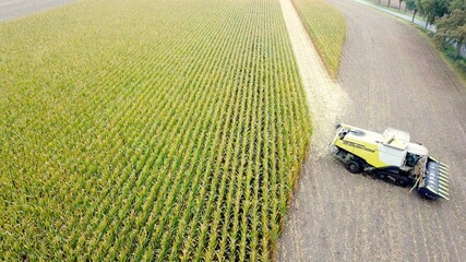 Maishäcksler auf einem Maisfeld, Ernte, Feldarbeiten, Landwirtschaft aus der Vogelperspektive