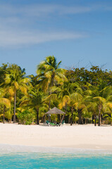 View over beautiful bay to palms and beach of Palm Island. White sand, turquoise sea, palms and...