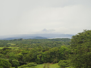 wild jungle of costa rica