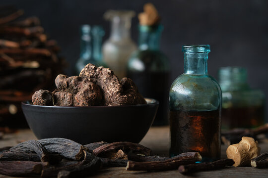 Bottles of infusion or tincture of Persicaria bistorta and Common comfrey roots. Bowl of Bistort, Snakeweed, Snake roots. Dry comfrey officinalis roots also known as symphytum officinale, knitbone.