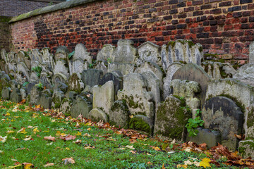Ancient tombstones and graves overgrown by moss and plants placed against brick wall in churchyard garden on autumn morning.