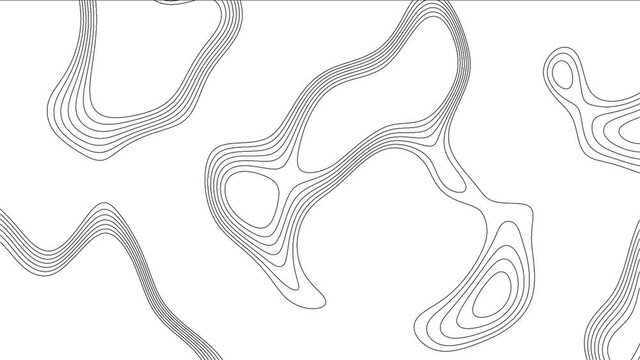 Topographic Line loop Background. Contour line texture.