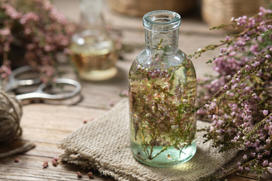 Bottle of heather essential oil or infusion, bunch of Calluna vulgaris flowers on background. Alternative herbal medicine.