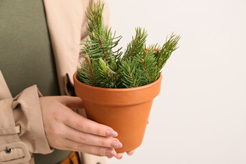 Young woman holding flowerpot with fir tree branches on beige background, closeup