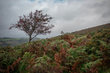 autumn in the mountains