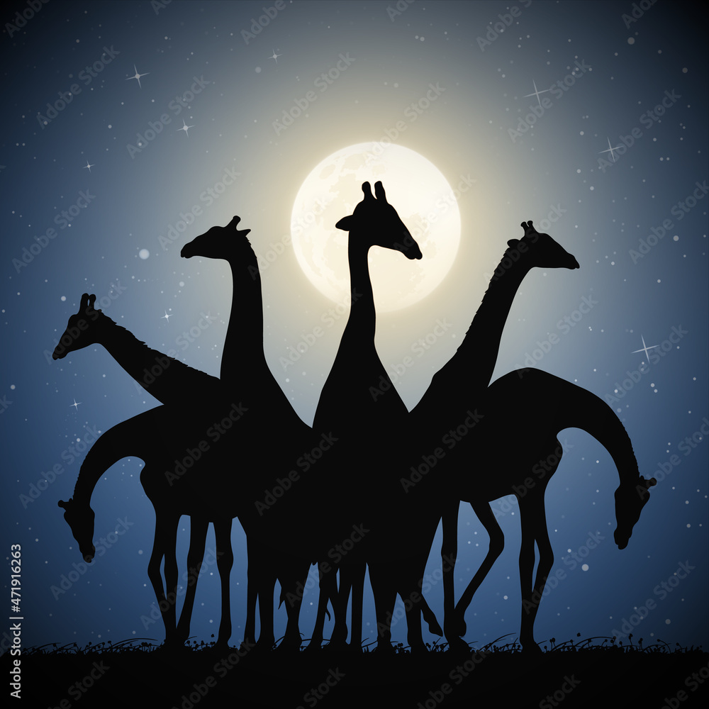 Sticker giraffe family. funny animal herd silhouette. full moon in night sky