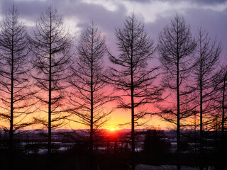 冬の朝焼け Canvas Print Canvas Prints Wallsheaven Makieni