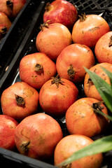 pomegranate fruit in market basket isolated
