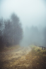 Fototapeta na wymiar Autumn country road and bare trees in the fog