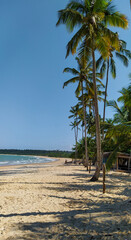 Obraz premium linda praia com areias escuras, ondas, céu azul e coqueiros