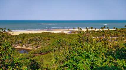 vista de cima de praia com mata ao redor