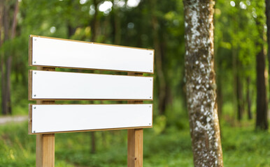 Blank signpost in the summer forest. Place for your text.