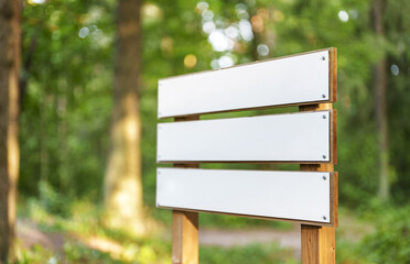 Blank signpost in the summer forest. Place for your text.