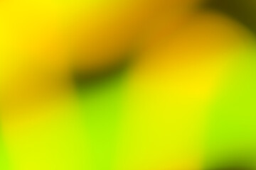 Vivid blurred colorful wallpaper background