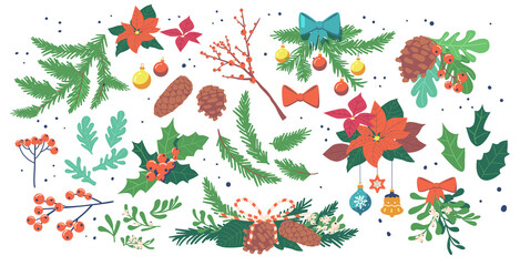 Christmas Plants Decoration, Winter Berries and Leaves, Winter Elements Leaf, Fir, Pine Branches Floral Collection © Pavlo Syvak