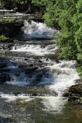 Cascading Waterfall with White Rapids in Wild Setting Surrounded by Trees in Michigan Upper Peninsula