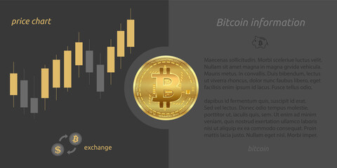Bitcoin brochure, gold coin with chart vector