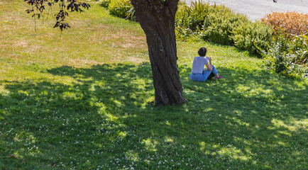Woman sitting under tree reading a book in sunny day.