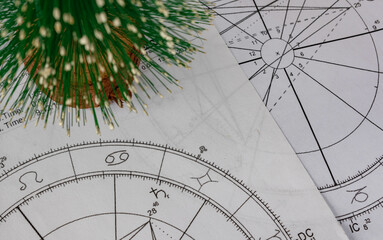 Printed astrological natal charts with Christmas bristle tree decoration in the background