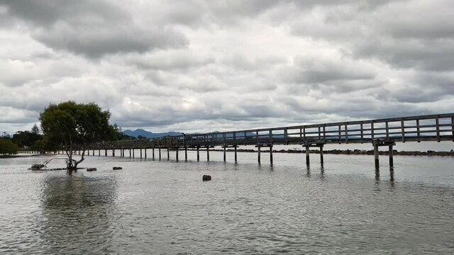View of a boardwalk and the mudflats and water that surround it. The shadow of one central mangrove tree is quite clear in spite of the very overcast weather and cloudy day.