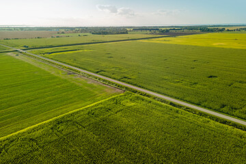Aerial view of Soy bean fields in Michigan