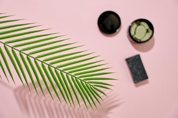 Palm Leaf