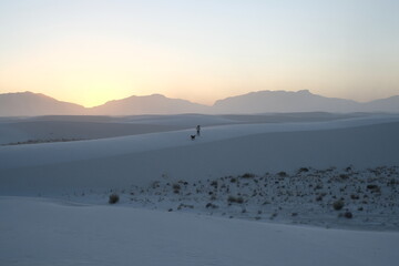 Woman and Two Dogs at Sunset at White Sands National Park, New Mexico