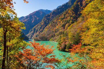 【富山県】黒部峡谷 うなずき湖