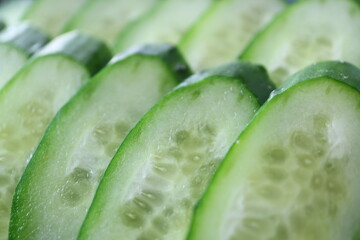 cross section of cucumber