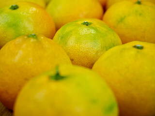 신선한 유기농 과일 귤