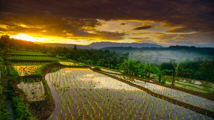 Beautiful sunrise with dramatic sky on countryside. Natural village view with beautiful rice fields...