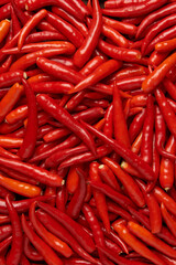 vegetable concept The hundreds of spicy shiny thin long chilis with different color tones of red