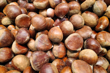 Stack of chestnuts on a market stall