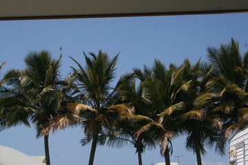 Australian Beaches North Queensland