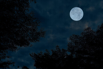 Naklejka premium Full moon with tree branch silhouette in the dark night.