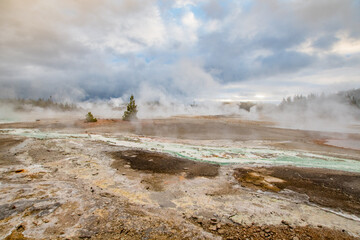 Geyser in a national park