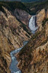 Grand Canyon of the Yellowstone 