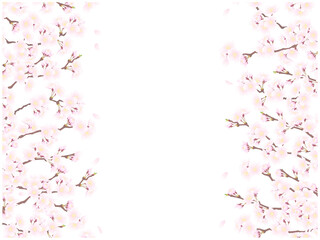 さくらのフレーム④左右