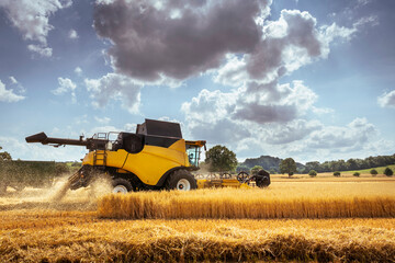 Combine harvester in oat field
