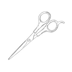 Scissors sketch. Hairdresser shears tool. Vector illustration isolated in white background