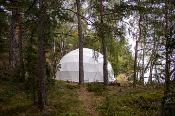Glamping tent behind trees