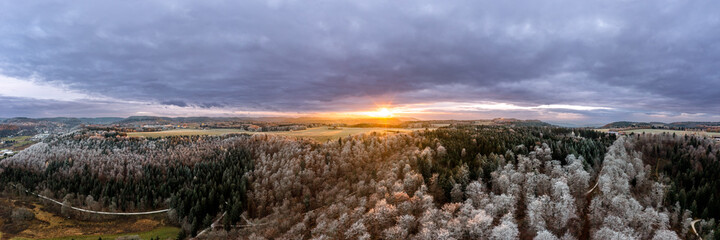 Frozen forest tree in the sunset light in aerial view.