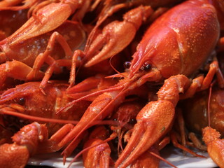Close-up shot of boiled red crayfish