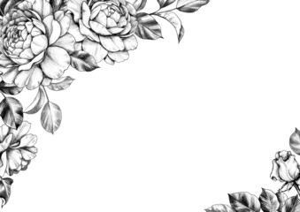 Elegant Background with Rose Flowers