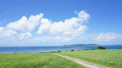 牧草地を抜ける一本道　環境保全